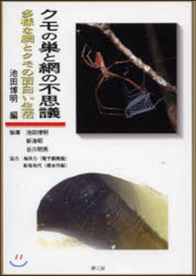 クモの巢と網の不思議 多樣な網とクモの面
