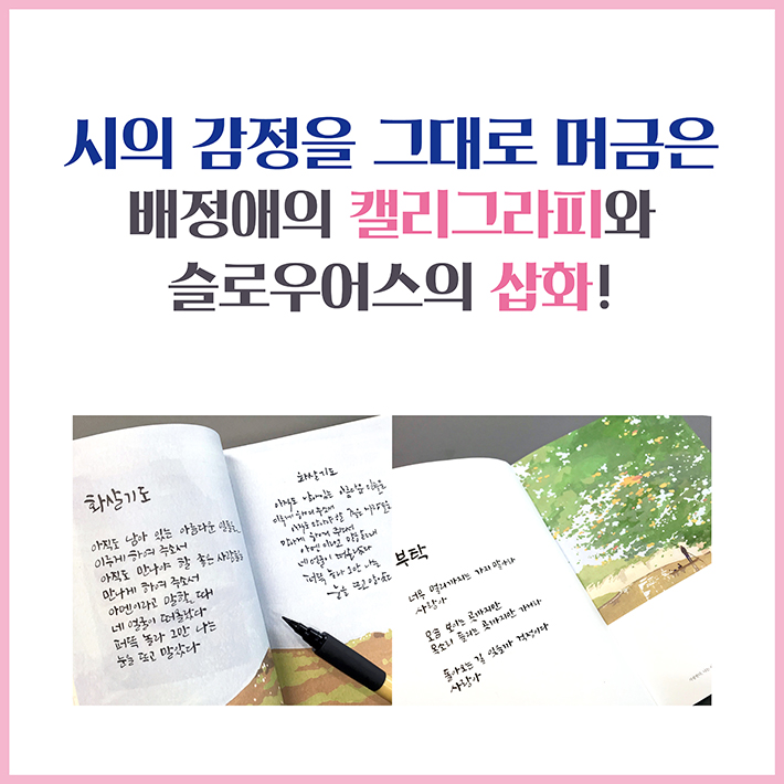 카드뉴스8