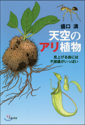 天空のアリ植物 見上げる森には不思議がいっぱい 