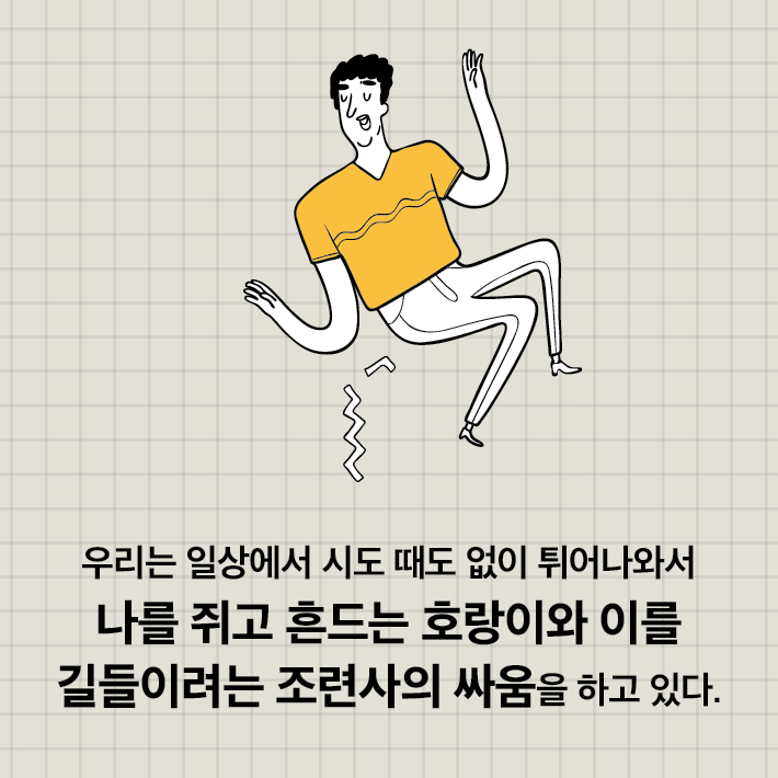 카드뉴스5