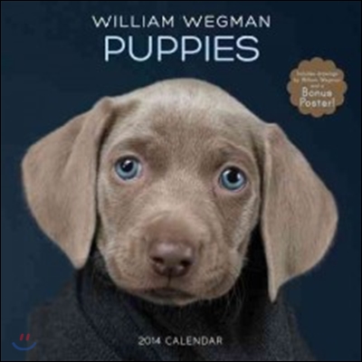 William Wegman Puppies 2014 Calendar