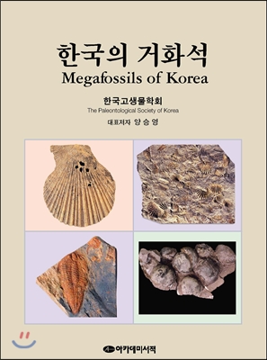한국의 거화석 