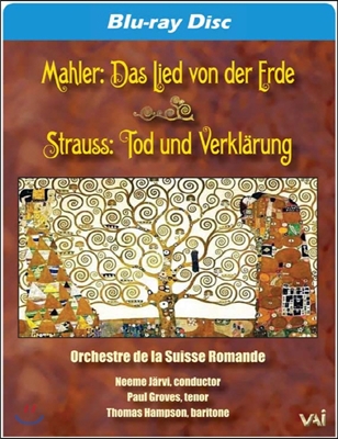 Neeme Jarvi 말러: 대지의 노래 / R. 슈트라우스: 죽음과 변용 (Mahler: Das Lied Von Der Erde / R. Strauss: Tod Und Verklarung)