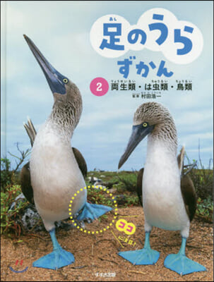 足のうらずかん   2 兩生類.は蟲類.