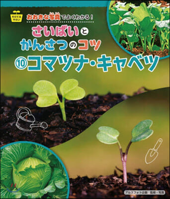 さいばいとかんさつのコツ(10)コマツナ.キャベツ