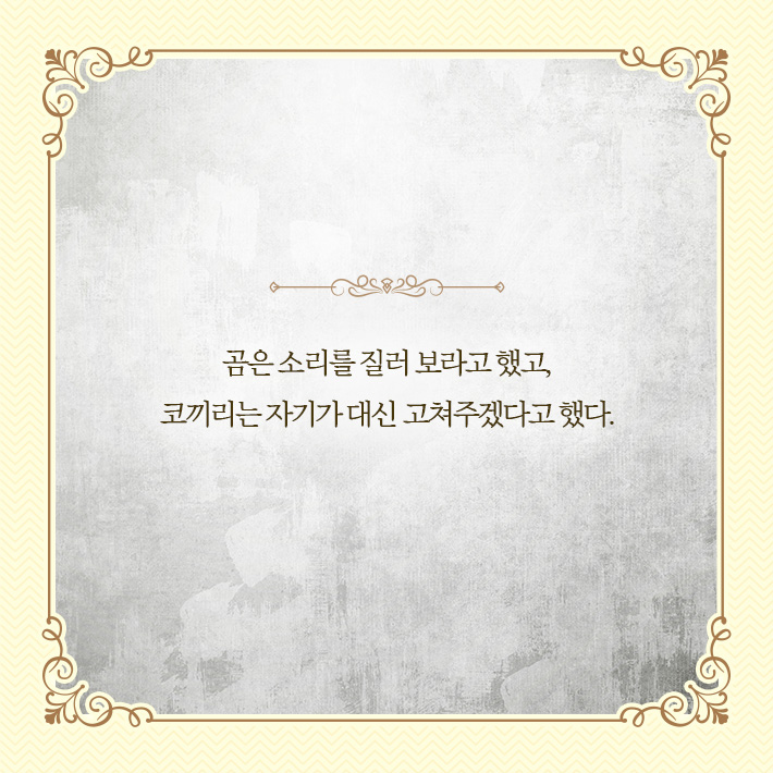 카드뉴스4