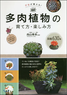 プロが敎える! 多肉植物の育て方.樂しみ方圖鑑630種