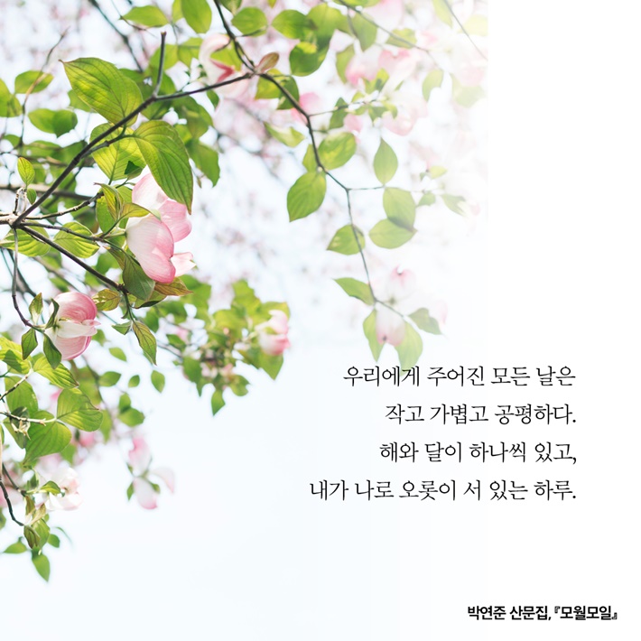 카드뉴스1