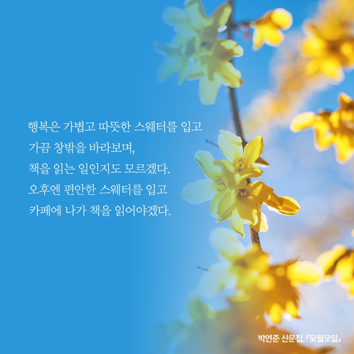 카드뉴스3