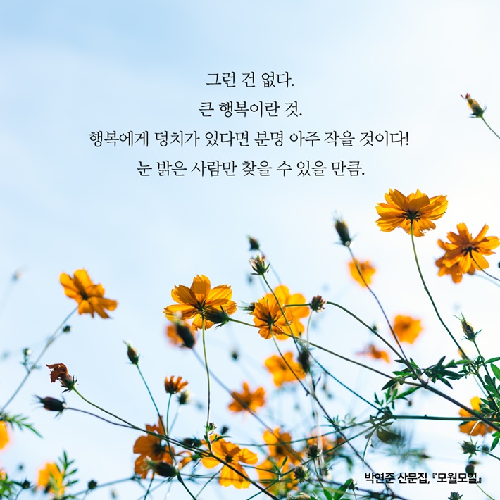 카드뉴스4