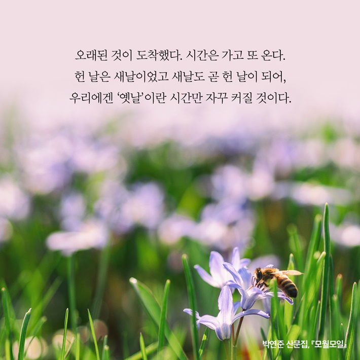 카드뉴스6