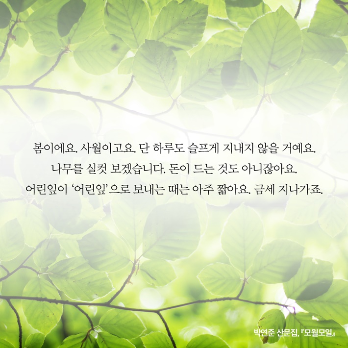 카드뉴스7