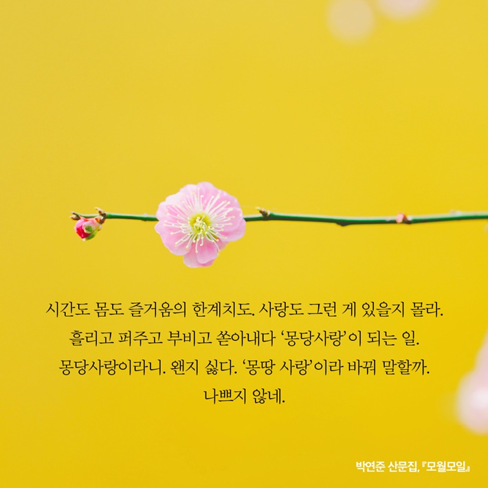 카드뉴스10