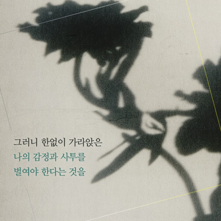 카드뉴스7