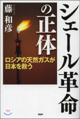 シェ-ル革命の正體 ロシアの天然ガスが日