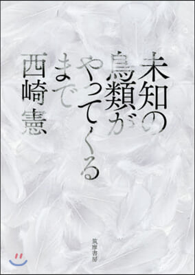 未知の鳥類がやってくるまで