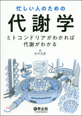 忙しい人のための代謝學 ミトコンドリアが