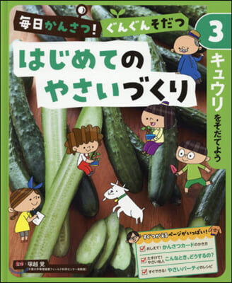 はじめてのやさいづくり(3)キュウリをそだてよう