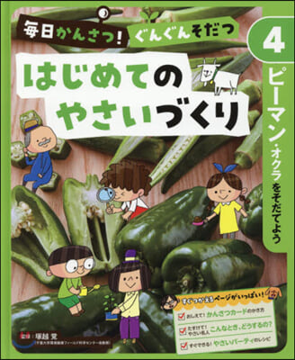 はじめてのやさいづくり(4)ピ-マン.オクラをそだてよう