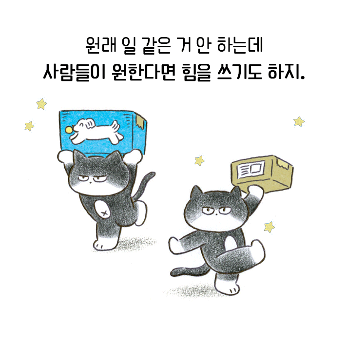 카드뉴스6