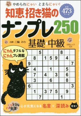 知惠招き猫のナンプレ250 基礎→中級