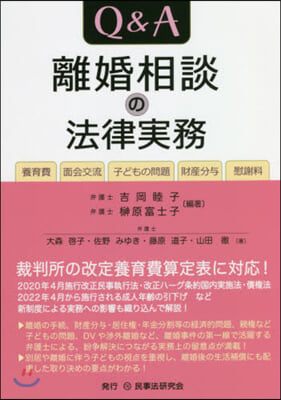 Q&amp;A離婚相談の法律實務 養育費.面會交