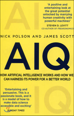 AIQ : How artificial intelligence works and how we can harness its power for a better world (Paperback)