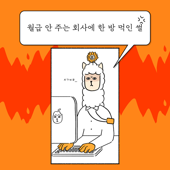 카드뉴스1