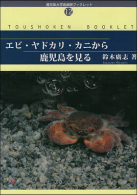 エビ.ヤドカリ.カニから鹿兒島を見る