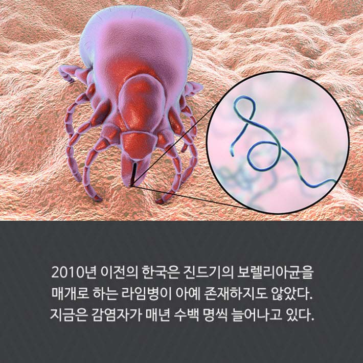 카드뉴스4