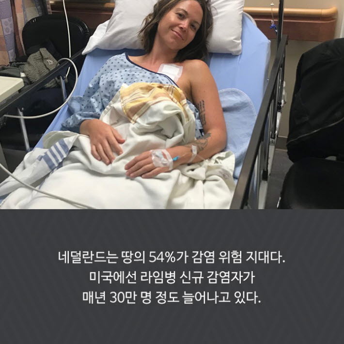 카드뉴스5