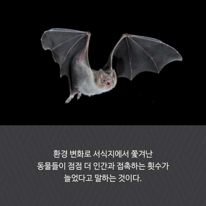 카드뉴스7
