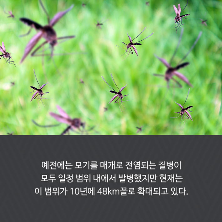 카드뉴스8