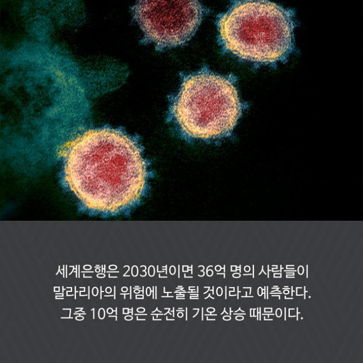 카드뉴스11