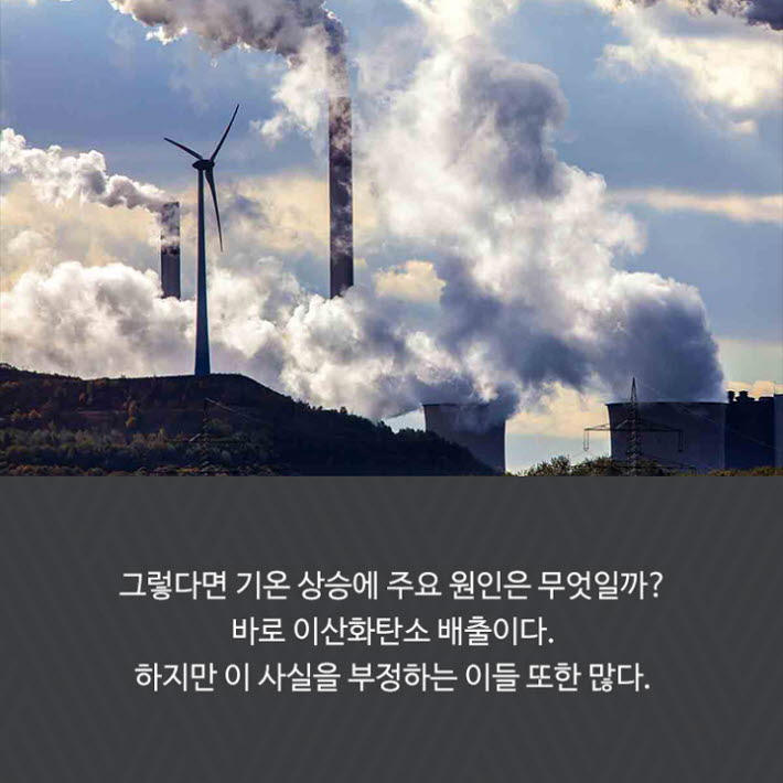 카드뉴스12