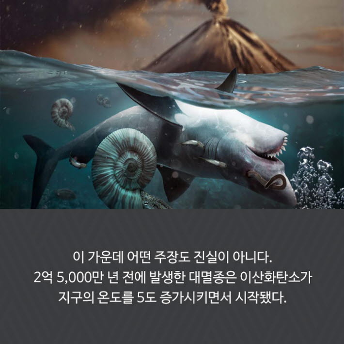 카드뉴스14