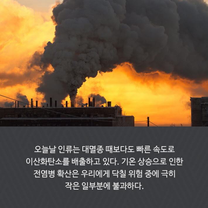 카드뉴스15