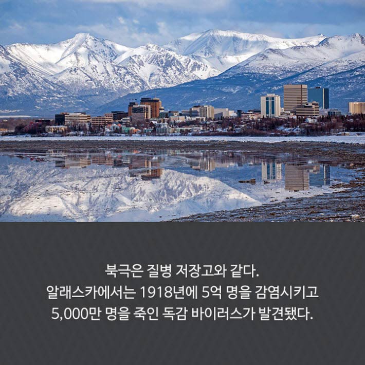 카드뉴스16