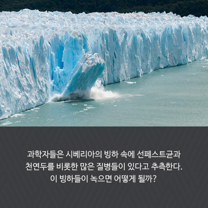 카드뉴스17