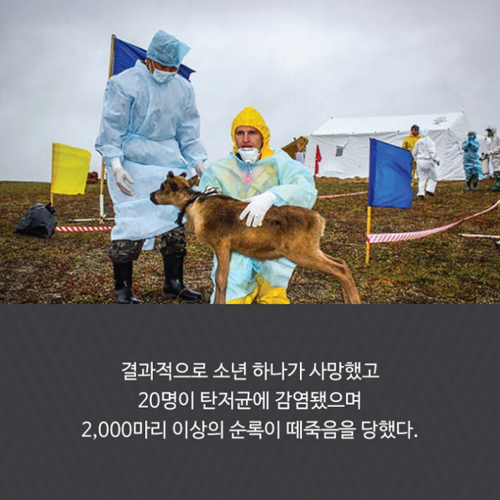 카드뉴스19