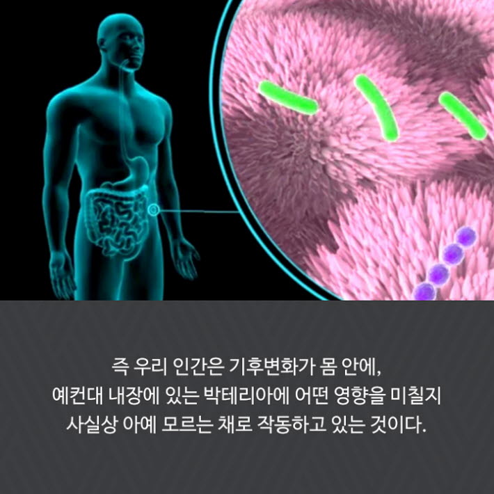 카드뉴스21