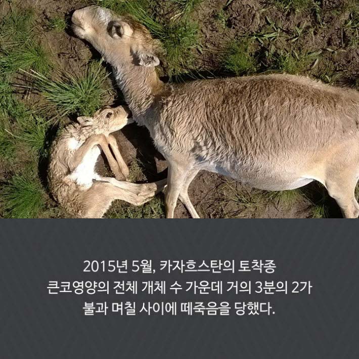 카드뉴스22