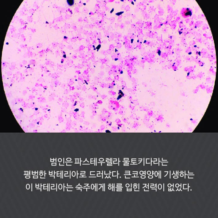 카드뉴스23