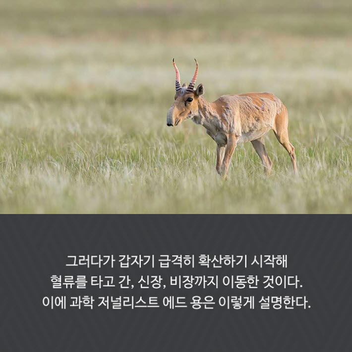 카드뉴스24