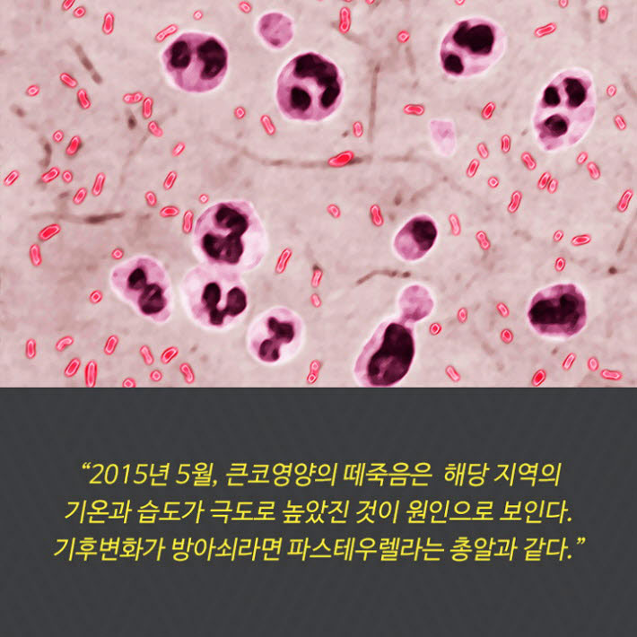 카드뉴스25