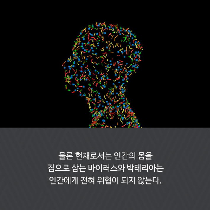 카드뉴스26