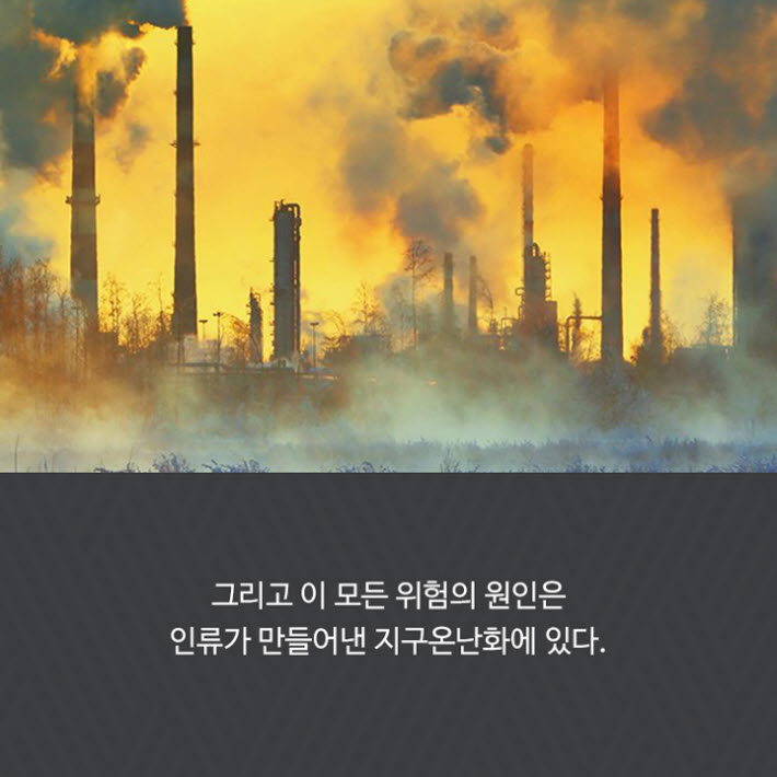 카드뉴스29