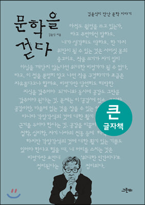 문학을 걷다 (큰글자책)