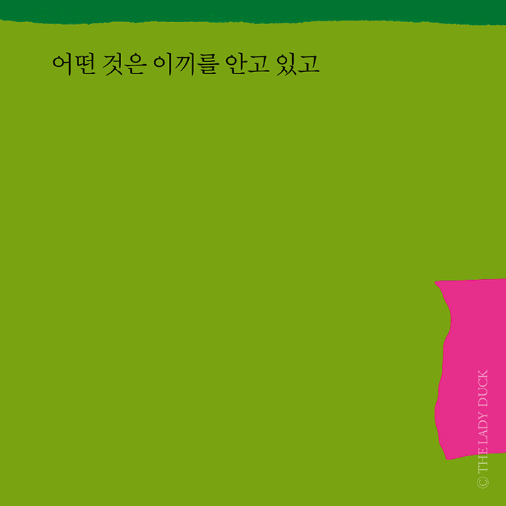 카드뉴스2