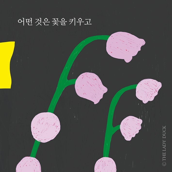 카드뉴스3